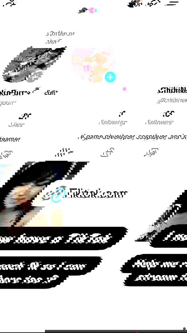 chibinekopurr chibinekopurr archive image