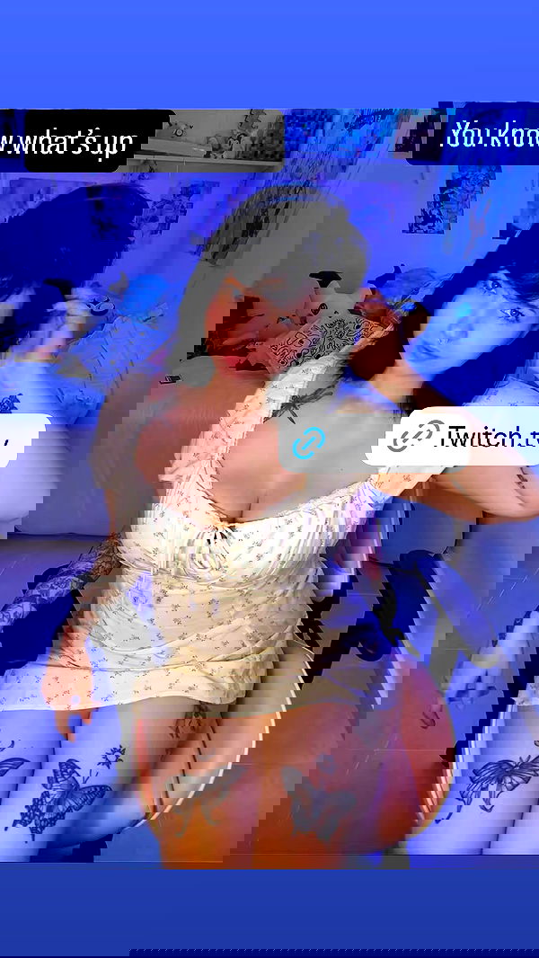 chibinekopurr chibinekopurr archive image