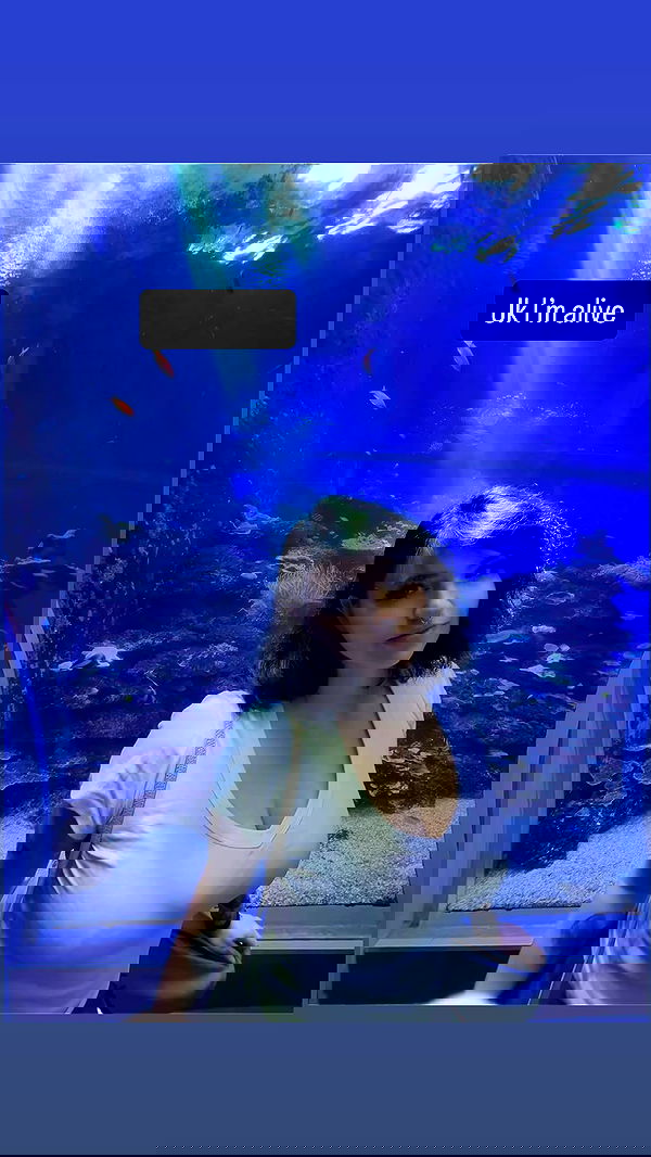 chibinekopurr chibinekopurr archive image