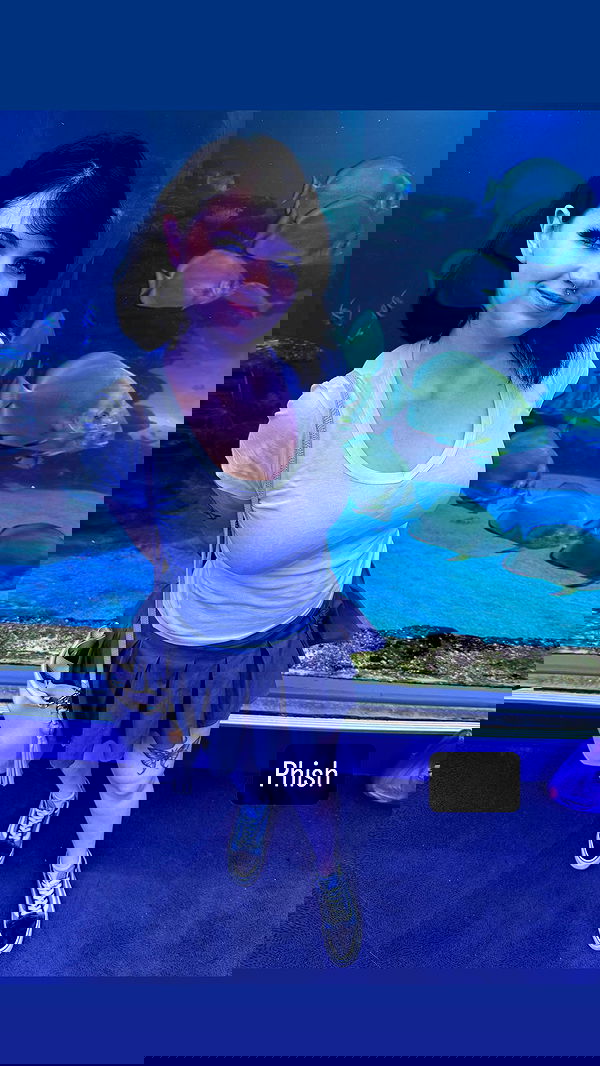 chibinekopurr chibinekopurr archive image