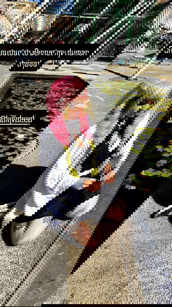 chibinekopurr chibinekopurr archive image