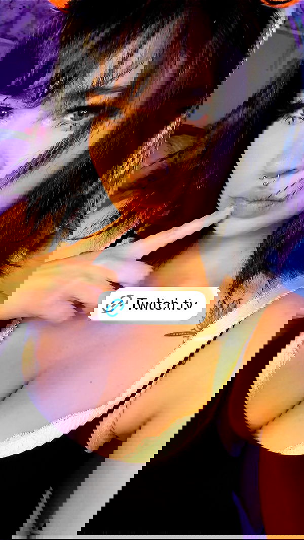 chibinekopurr chibinekopurr archive image