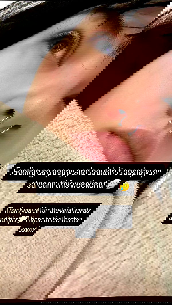 chibinekopurr chibinekopurr archive image