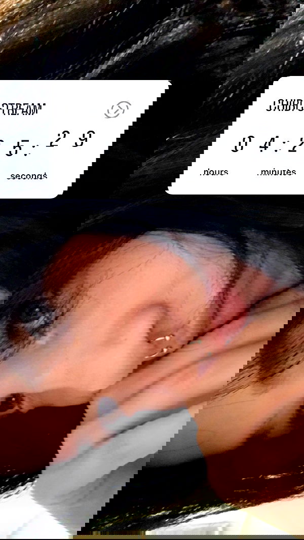 chibinekopurr chibinekopurr archive image