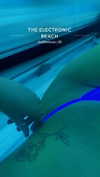 chlochristienx Altpins Profile Picture