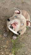chlochristienx Altpins Profile Picture