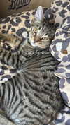 chlochristienx Altpins Profile Picture