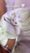chloelilsxx Altpins Profile Picture