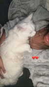 chloelilsxx Altpins Profile Picture