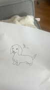 chloetamiii Altpins Profile Picture