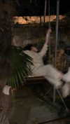 christiecharm1 Altpins Profile Picture
