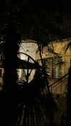 christiecharm1 Altpins Profile Picture