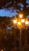 christiecharm1 Altpins Profile Picture