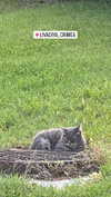 christiecharm1 Altpins Profile Picture