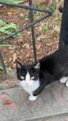 christiecharm1 Altpins Profile Picture