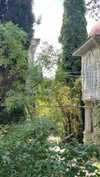 christiecharm1 Altpins Profile Picture