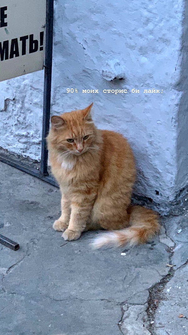 christiecharm1 instagram image archive image