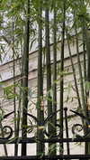 christiecharm1 Altpins Profile Picture