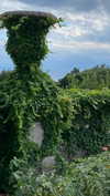 christiecharm1 Altpins Profile Picture