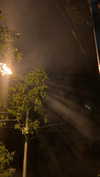 christiecharm1 Altpins Profile Picture