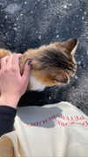 christiecharm1 Altpins Profile Picture