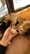 christiecharm1 Altpins Profile Picture