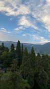 christiecharm1 Altpins Profile Picture