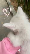 christiecharm1 Altpins Profile Picture