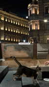 christinacharm Altpins Profile Picture