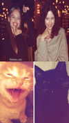 christinacharm Altpins Profile Picture