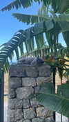 claudiacookgomez Altpins Profile Picture