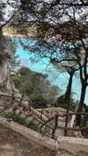claudiacookgomez Altpins Profile Picture