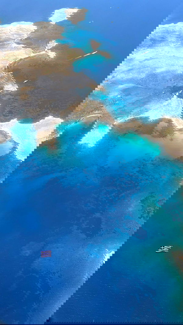 corinnakopf image ~ Altpins