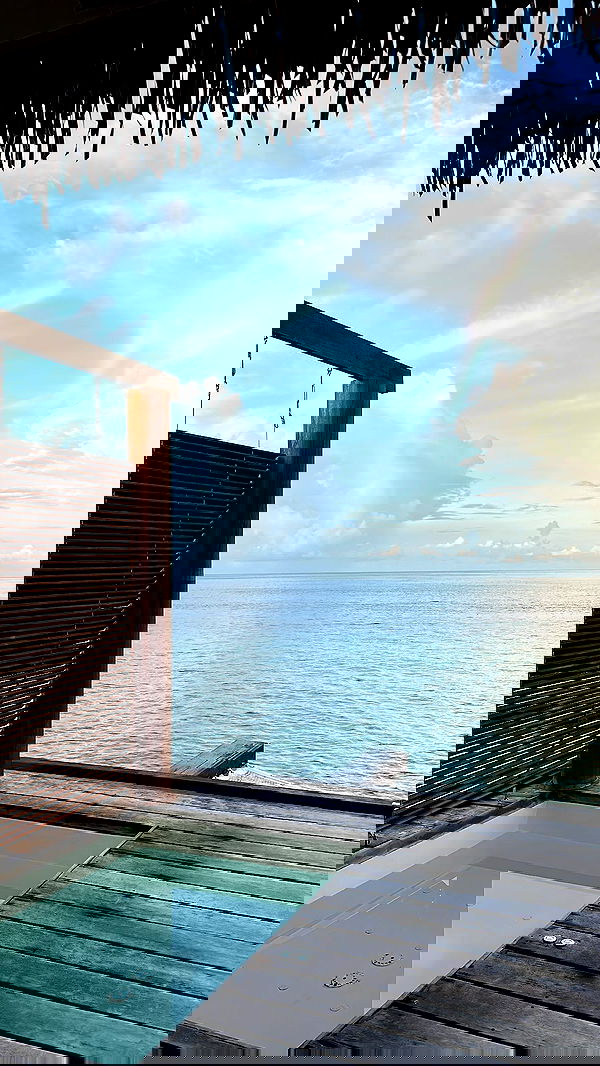 corinnakopf image ~ Altpins