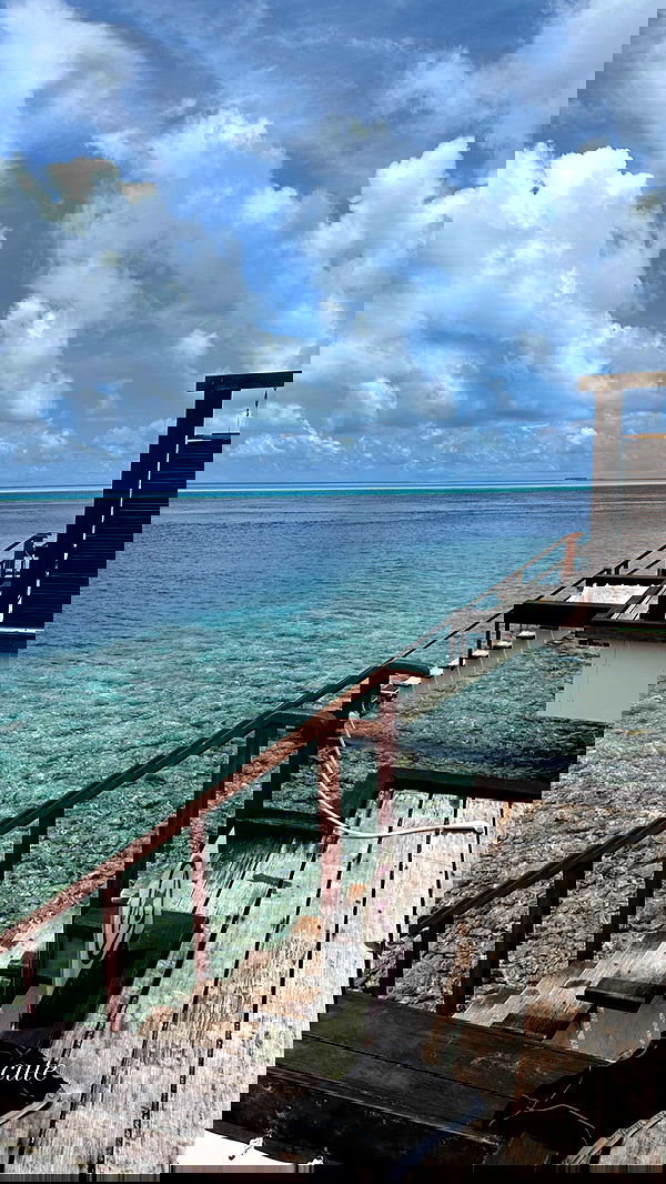 corinnakopf image ~ Altpins