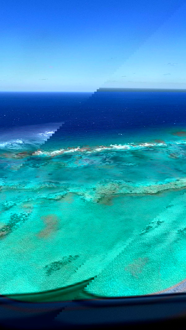 corinnakopf image ~ Altpins