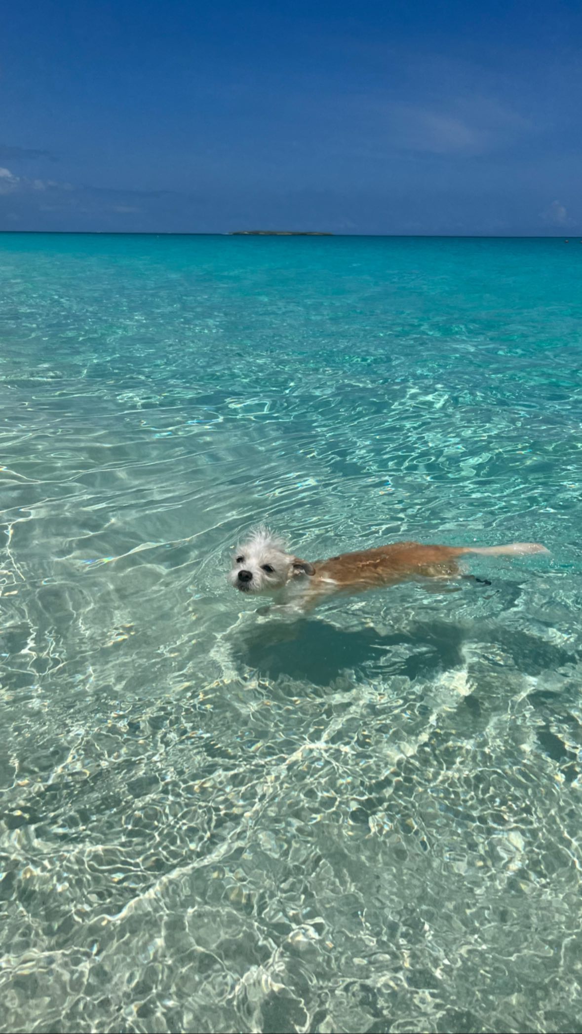 corinnakopf instagram image archive image