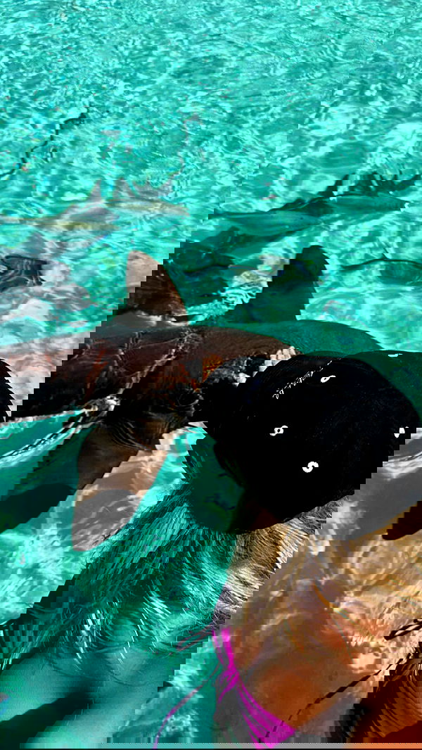 corinnakopf image ~ Altpins