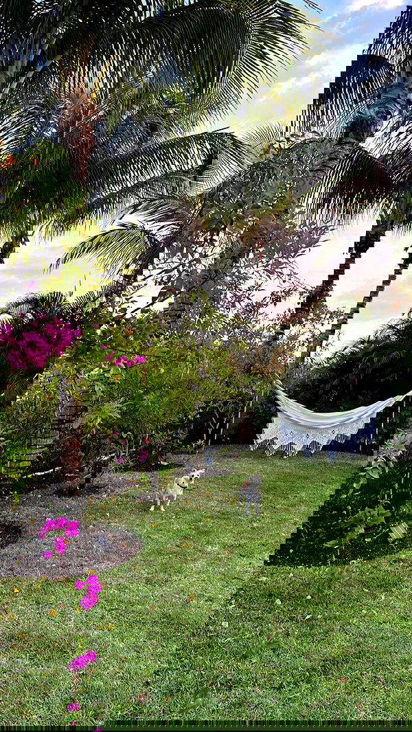 corinnakopf image ~ Altpins