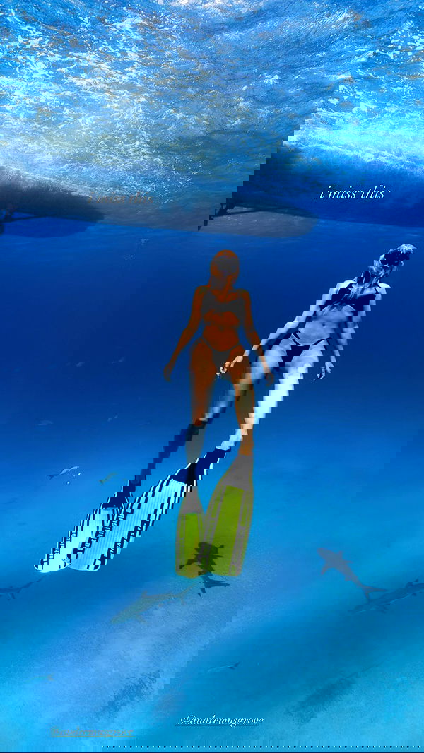 corinnakopf image ~ Altpins