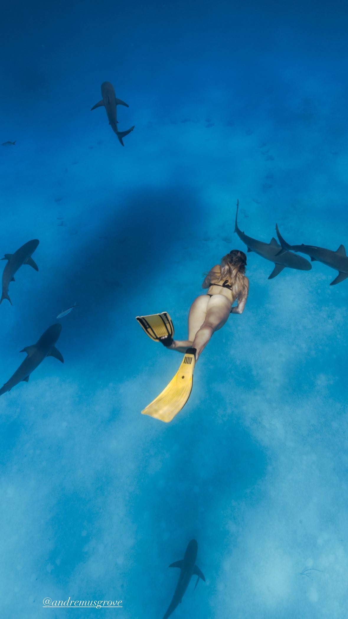 corinnakopf instagram image archive image