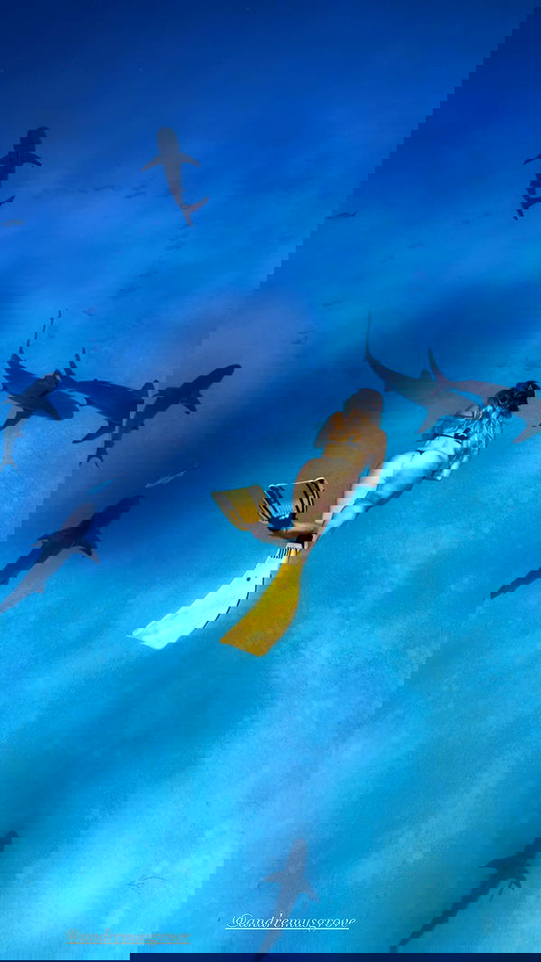 corinnakopf image ~ Altpins