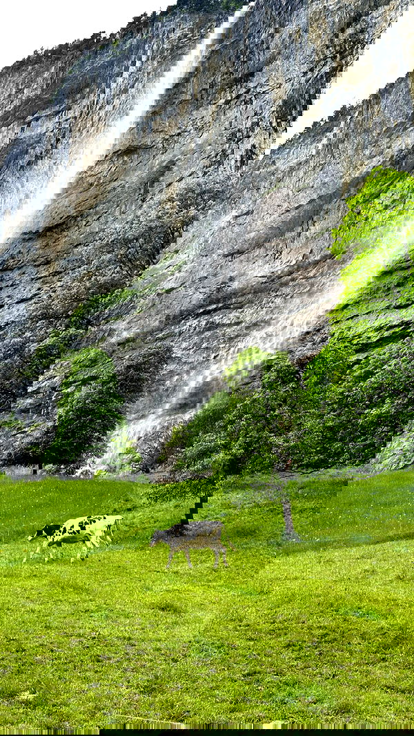 corinnakopf image ~ Altpins