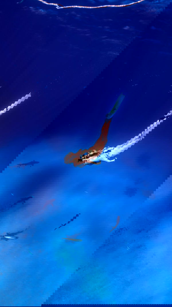 corinnakopf image ~ Altpins