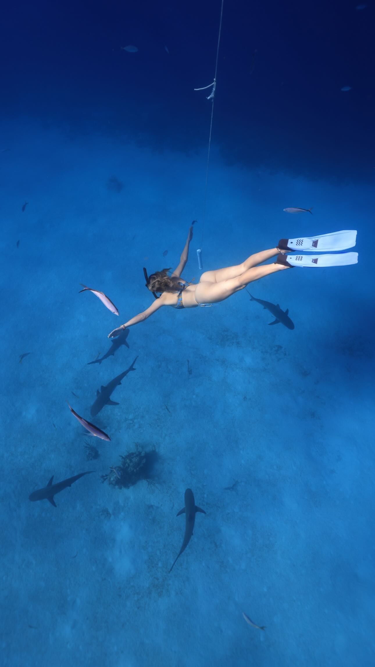 corinnakopf instagram image archive image