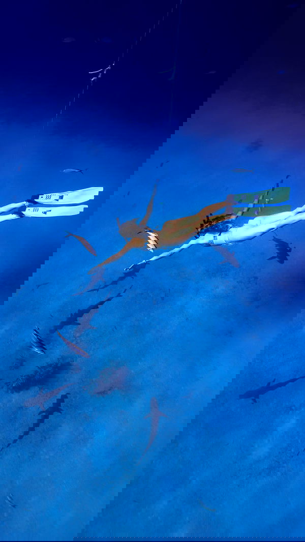 corinnakopf image ~ Altpins