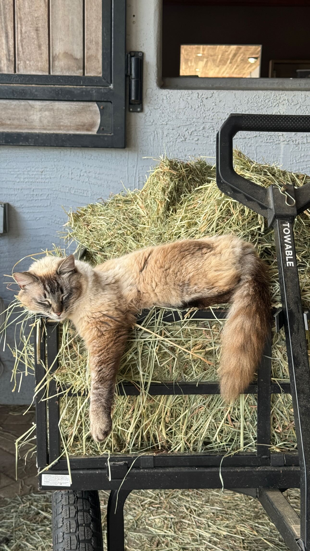 corinnakopf instagram image archive image