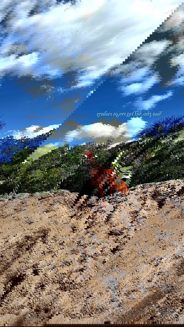 corinnakopf image ~ Altpins