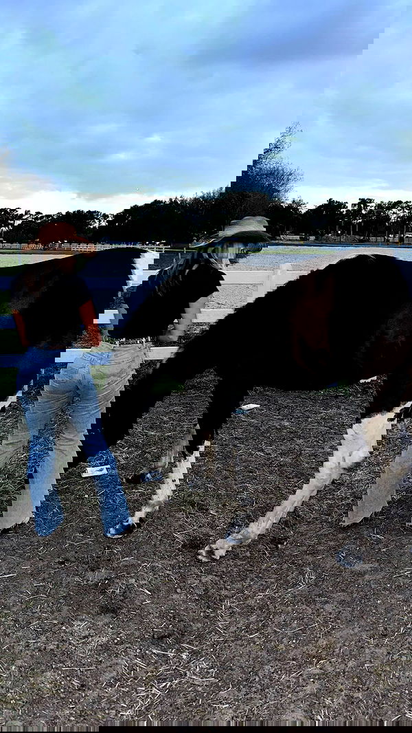 corinnakopf image ~ Altpins