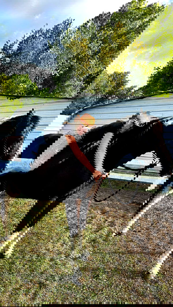 corinnakopf image ~ Altpins